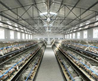 哔咔漫画IOS入口防腐鋼塑板