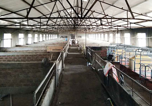 哔咔漫画IOS入口覆膜瓦哔咔漫画绅士版APP之新沂養殖場